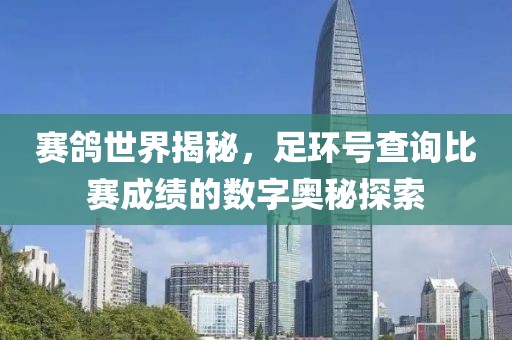 賽鴿世界揭秘，足環(huán)號查詢比賽成績的數(shù)字奧秘探索