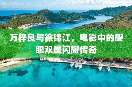 萬梓良與徐錦江，電影中的耀眼雙星閃耀傳奇
