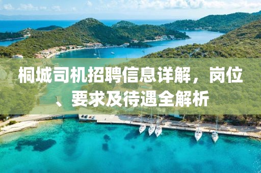 桐城司機招聘信息詳解，崗位、要求及待遇全解析