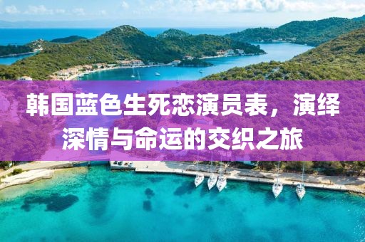 韓國(guó)藍(lán)色生死戀演員表，演繹深情與命運(yùn)的交織之旅