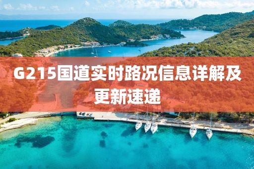 G215國道實時路況信息詳解及更新速遞