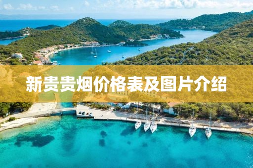 新貴貴煙價格表及圖片介紹