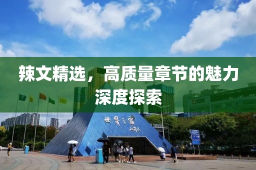 辣文精選，高質(zhì)量章節(jié)的魅力深度探索