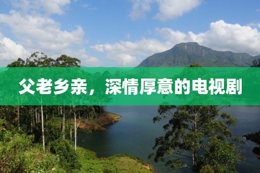 父老鄉(xiāng)親，深情厚意的電視劇