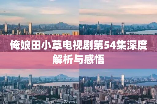 俺娘田小草電視劇第54集深度解析與感悟