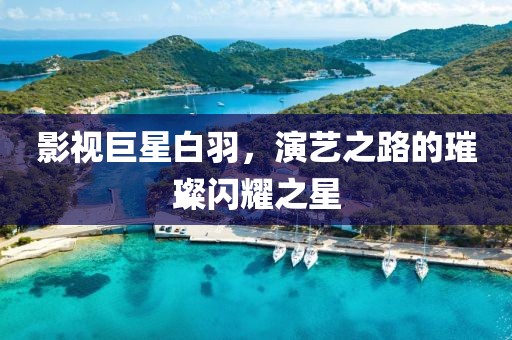 影視巨星白羽，演藝之路的璀璨閃耀之星