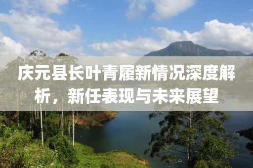 慶元縣長葉青履新情況深度解析，新任表現(xiàn)與未來展望