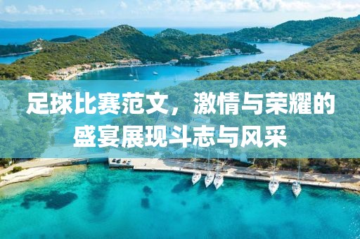 足球比賽范文，激情與榮耀的盛宴展現(xiàn)斗志與風(fēng)采