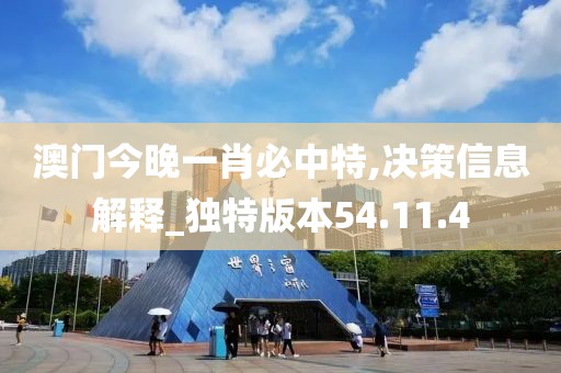 澳門今晚一肖必中特,決策信息解釋_獨特版本54.11.4