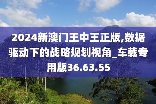 2024新澳門王中王正版,數(shù)據(jù)驅動下的戰(zhàn)略規(guī)劃視角_車載專用版36.63.55