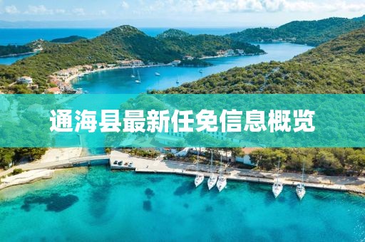 通海縣最新任免信息概覽