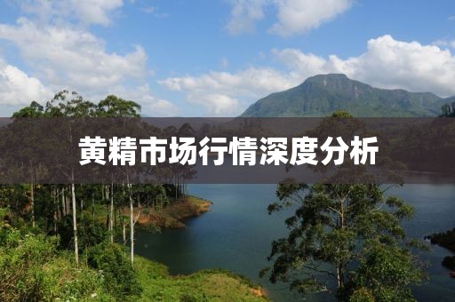 黃精市場行情深度分析