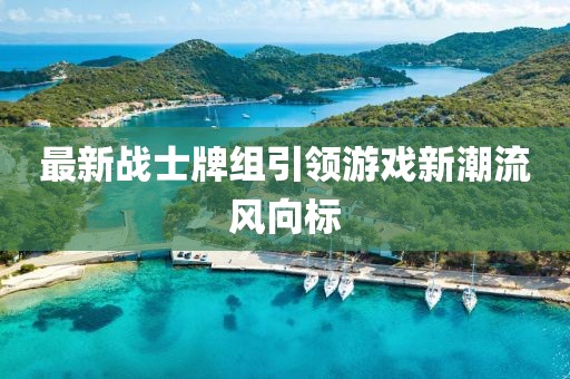 最新戰(zhàn)士牌組引領(lǐng)游戲新潮流風(fēng)向標(biāo)