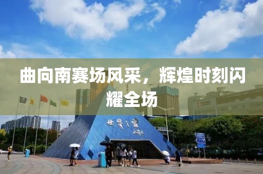 曲向南賽場風(fēng)采，輝煌時刻閃耀全場