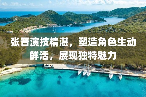 張晉演技精湛，塑造角色生動鮮活，展現(xiàn)獨特魅力