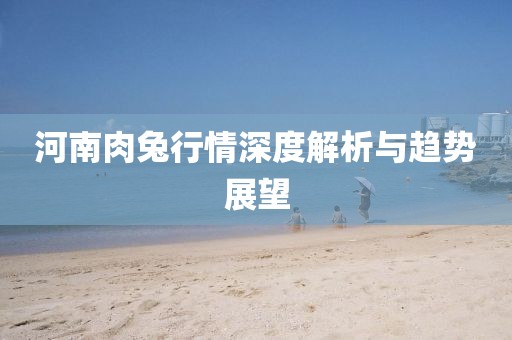 河南肉兔行情深度解析與趨勢(shì)展望