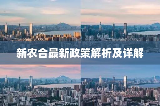 新農(nóng)合最新政策解析及詳解