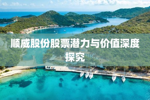 順威股份股票潛力與價值深度探究