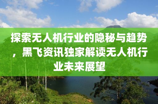 探索無人機行業(yè)的隱秘與趨勢，黑飛資訊獨家解讀無人機行業(yè)未來展望