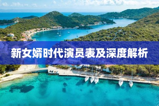 新女婿時代演員表及深度解析