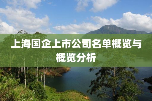 上海國企上市公司名單概覽與概覽分析