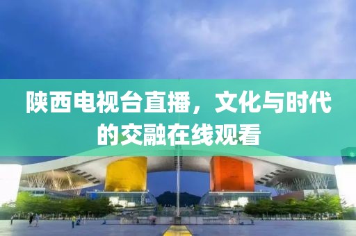 陜西電視臺直播，文化與時代的交融在線觀看