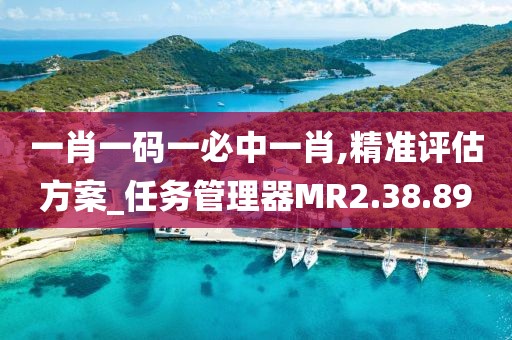 一肖一碼一必中一肖,精準(zhǔn)評(píng)估方案_任務(wù)管理器MR2.38.89