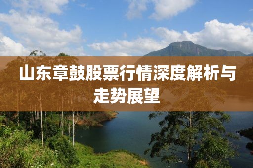 山東章鼓股票行情深度解析與走勢展望