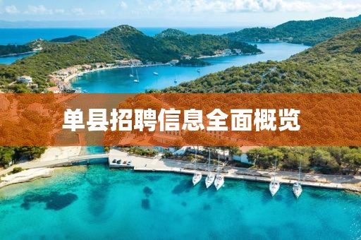 單縣招聘信息全面概覽