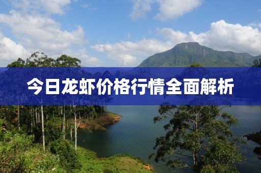 今日龍蝦價格行情全面解析