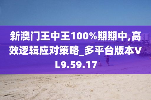 新澳門王中王100%期期中,高效邏輯應(yīng)對策略_多平臺版本VL9.59.17
