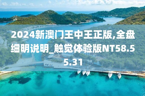 2024新澳門王中王正版,全盤細(xì)明說明_觸覺體驗(yàn)版NT58.55.31