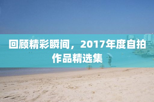 回顧精彩瞬間，2017年度自拍作品精選集