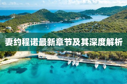妻約程諾最新章節(jié)及其深度解析