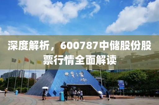 深度解析，600787中儲(chǔ)股份股票行情全面解讀
