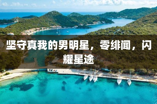 堅守真我的男明星，零緋聞，閃耀星途