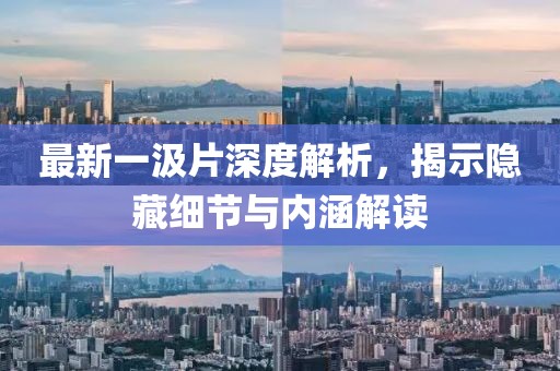 最新一汲片深度解析，揭示隱藏細(xì)節(jié)與內(nèi)涵解讀