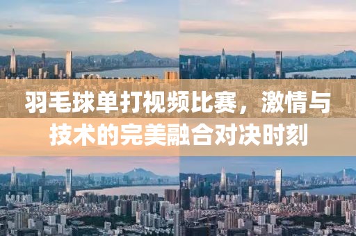 羽毛球單打視頻比賽，激情與技術(shù)的完美融合對(duì)決時(shí)刻