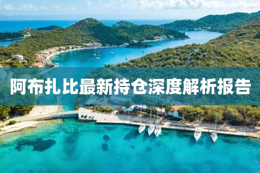 阿布扎比最新持倉深度解析報告