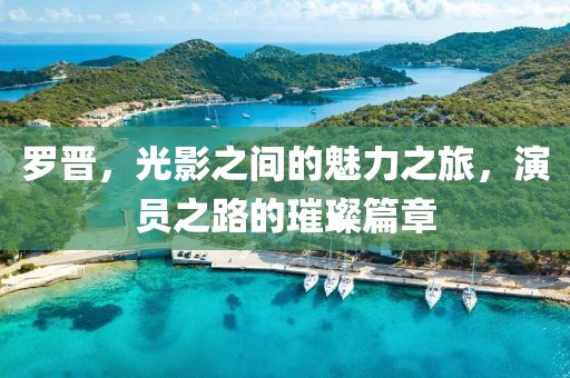 羅晉，光影之間的魅力之旅，演員之路的璀璨篇章