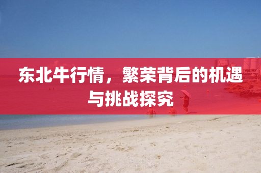 東北牛行情，繁榮背后的機遇與挑戰(zhàn)探究