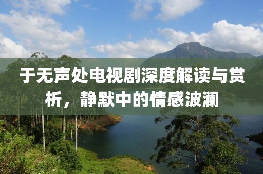 于無聲處電視劇深度解讀與賞析，靜默中的情感波瀾