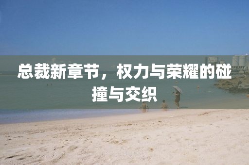 總裁新章節(jié)，權力與榮耀的碰撞與交織