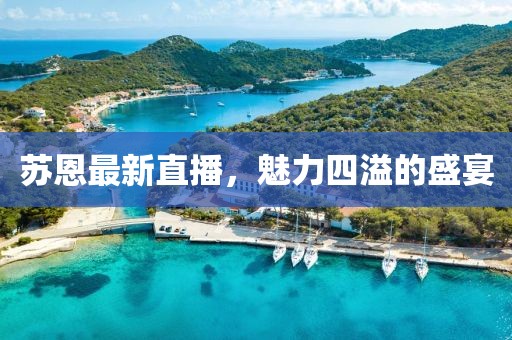 蘇恩最新直播，魅力四溢的盛宴