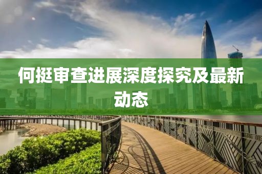 何挺審查進展深度探究及最新動態(tài)