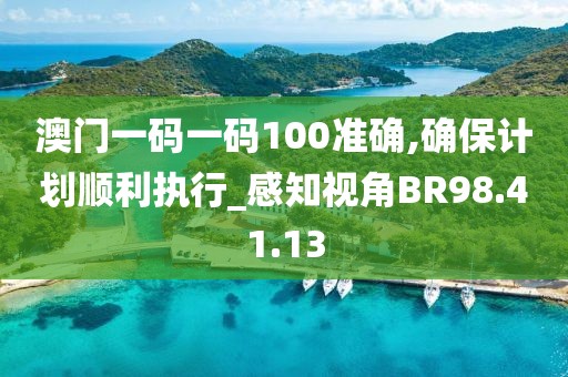 澳門一碼一碼100準確,確保計劃順利執(zhí)行_感知視角BR98.41.13