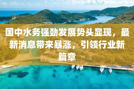 國中水務強勁發(fā)展勢頭顯現(xiàn)，最新消息帶來暴漲，引領行業(yè)新篇章