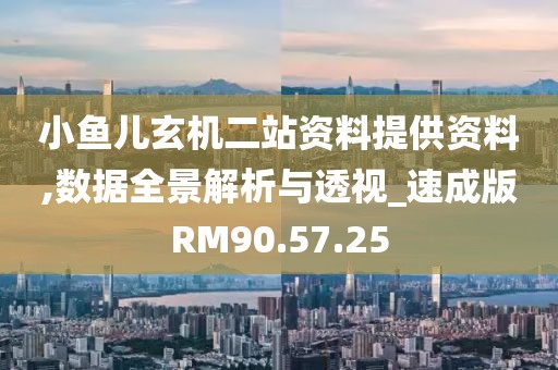 小魚兒玄機二站資料提供資料,數(shù)據(jù)全景解析與透視_速成版RM90.57.25