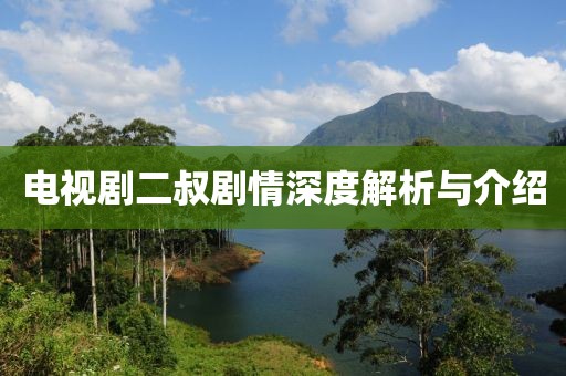 電視劇二叔劇情深度解析與介紹