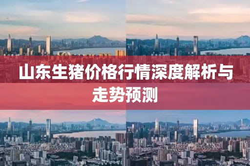 山東生豬價格行情深度解析與走勢預(yù)測
